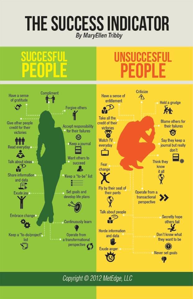 the-success-indicator-infographic